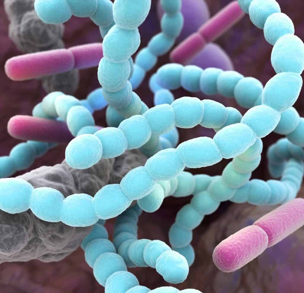 Bad Breath: When Morning Breath Becomes Halitosis Bad breath bacteria